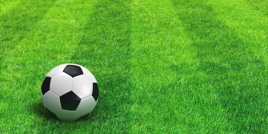 竞彩足球数据分析专业工具